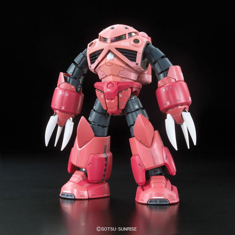 Gunpla 1/144 RG MSM-07S Z'GOK #16