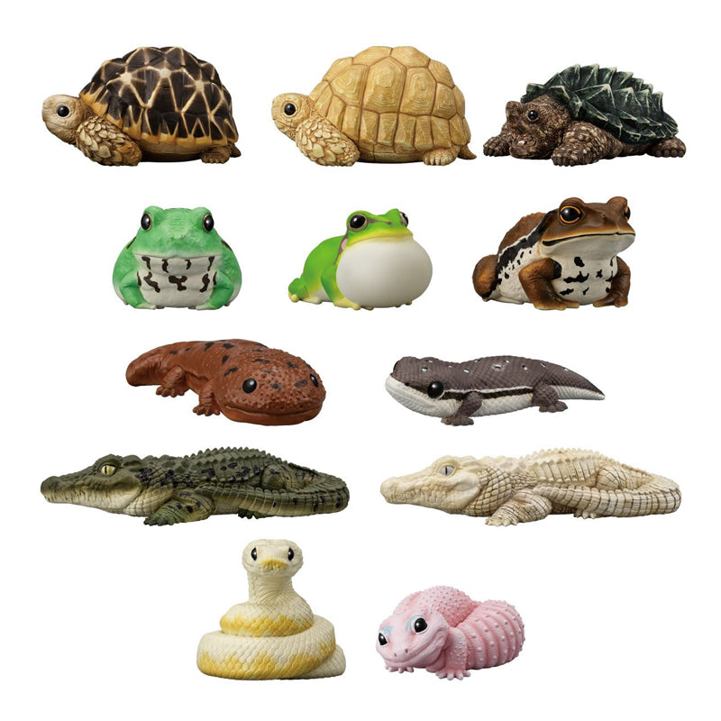 Tenori Friends - Mystery Box Series 12 (Assortment of 12)