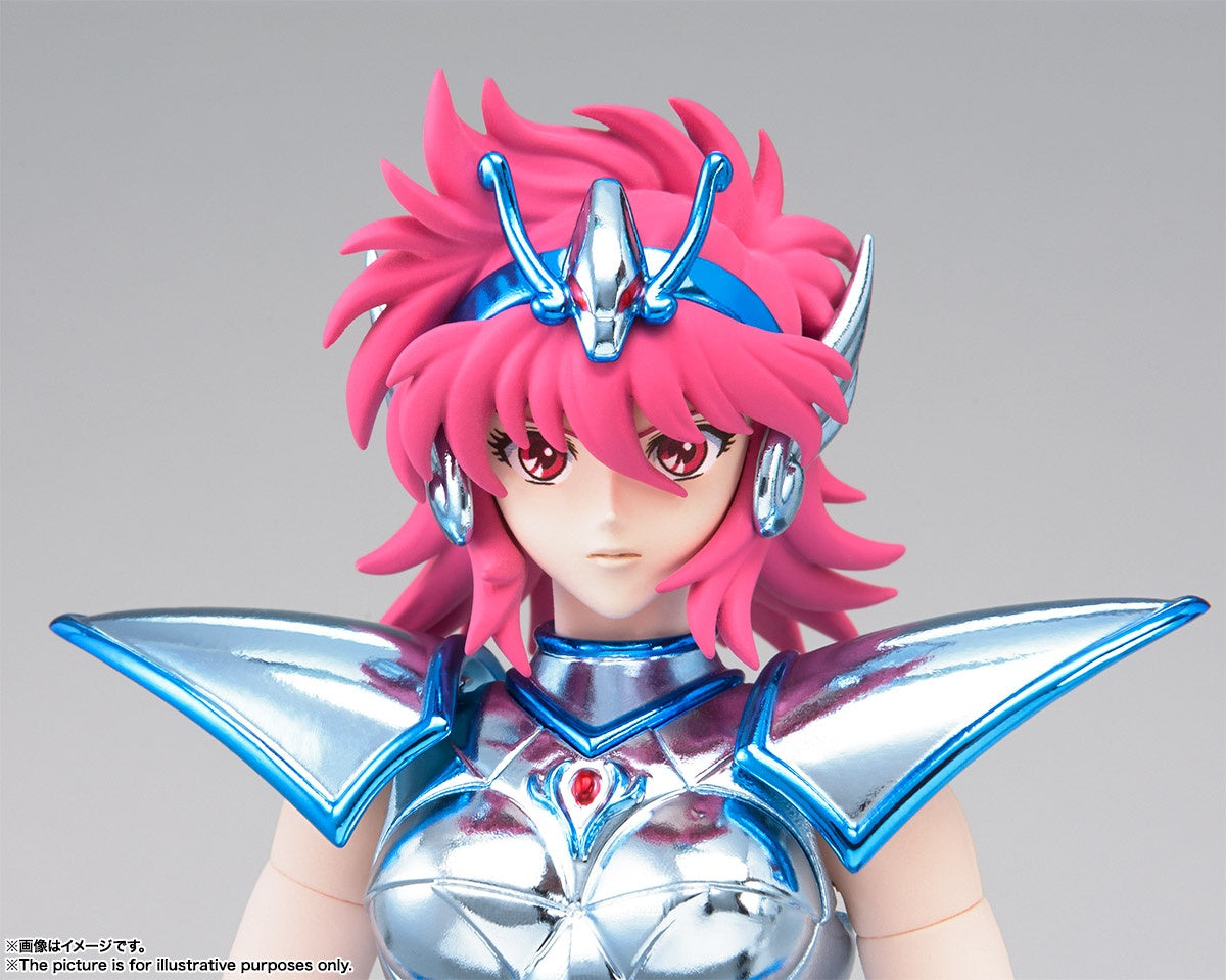 Saint Cloth Myth Equuleus Shoko
