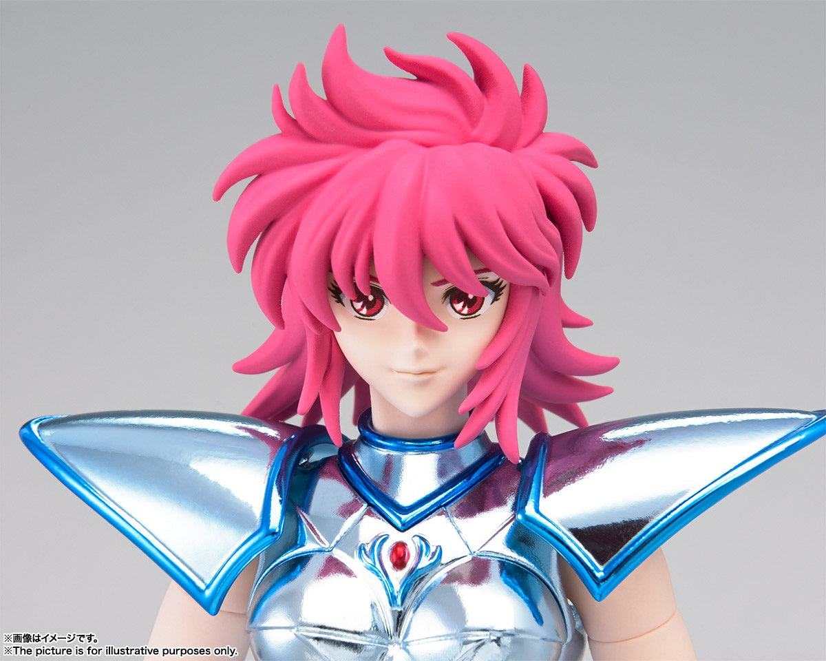 Saint Cloth Myth Equuleus Shoko