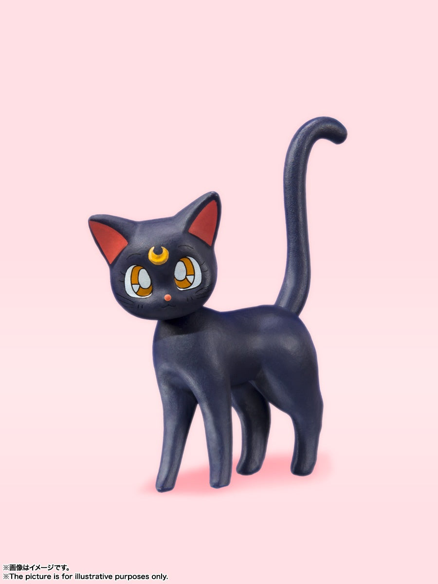 S.H.Figuarts Sailor Moon -Animation Color Edition-