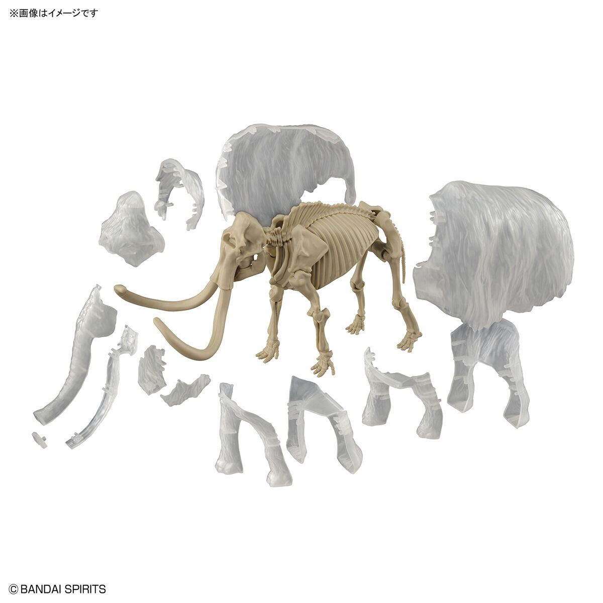 BANDAI – ESPLORANDO IL LABORATORIO DELLA NATURA MAMMOTH