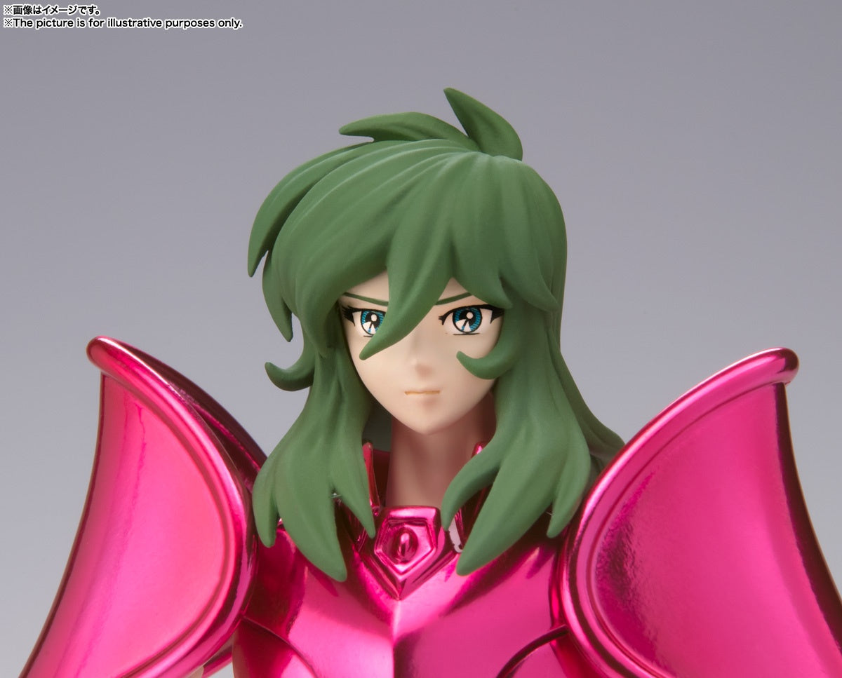 Saint Cloth Myth EX Andromeda Shun (New Bronze Cloth) (Revival Version)