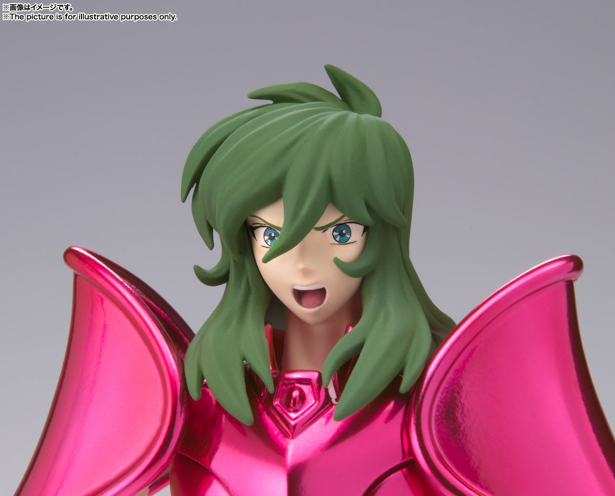 Saint Cloth Myth EX Andromeda Shun (New Bronze Cloth) (Revival Version)