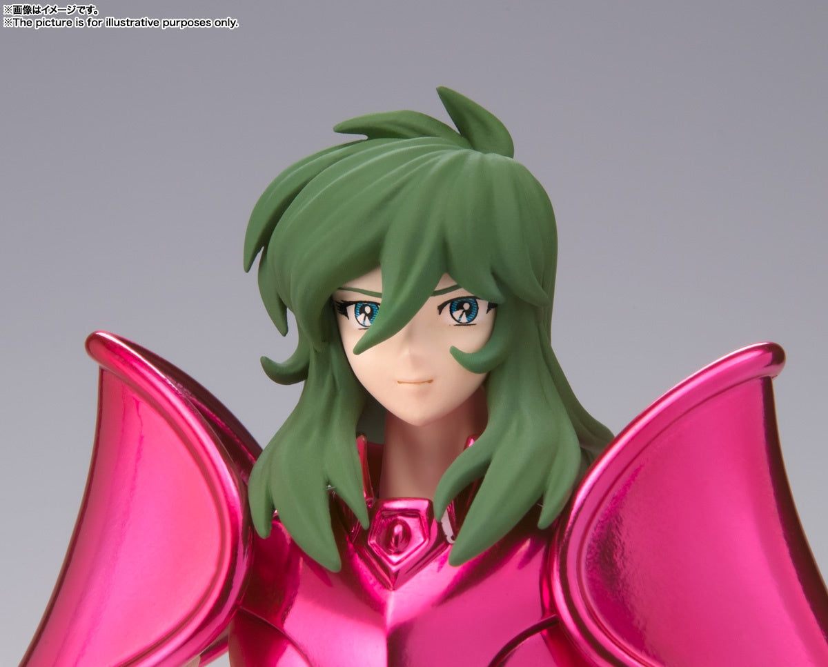 Saint Cloth Myth EX Andromeda Shun (New Bronze Cloth) (Revival Version)