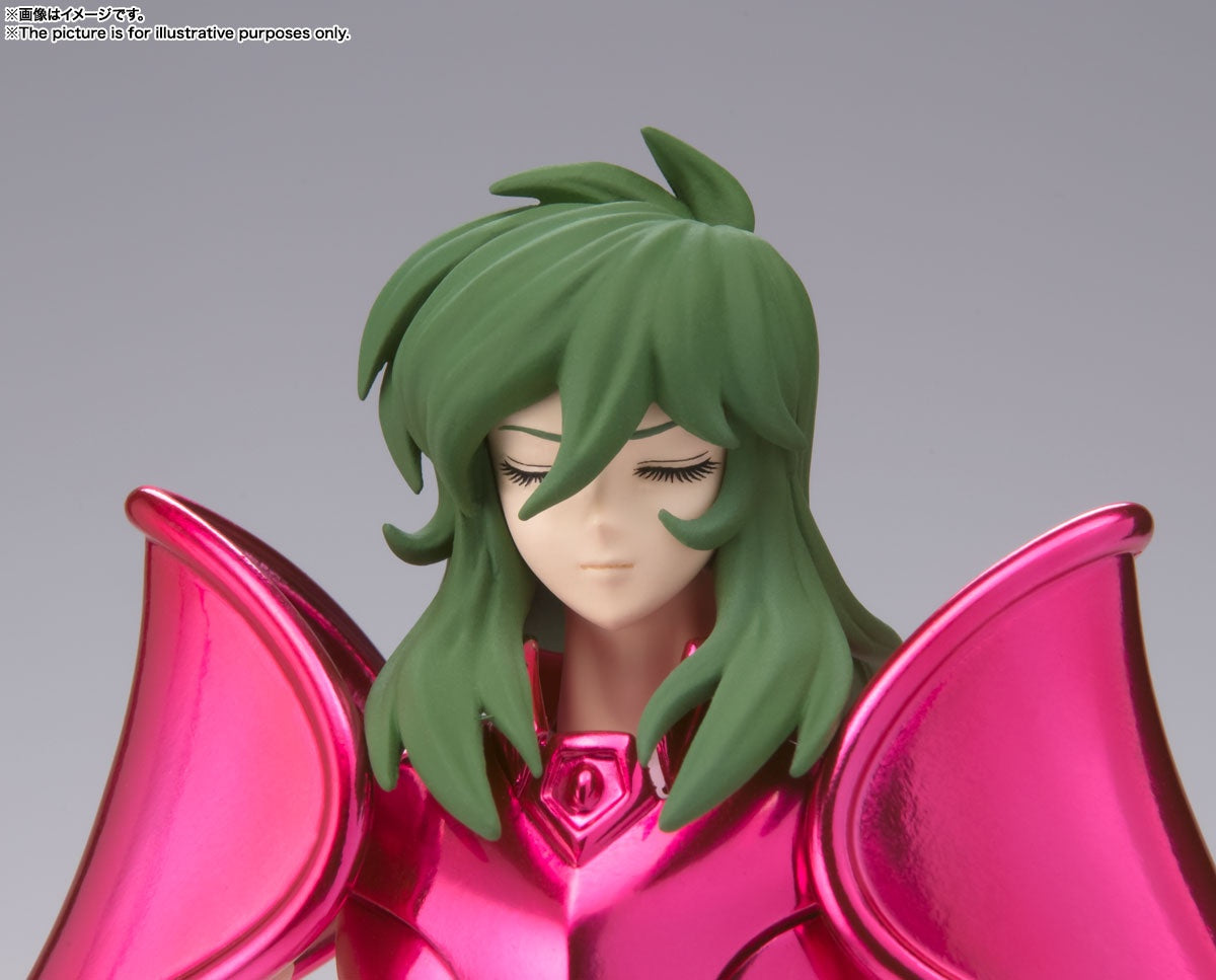 Saint Cloth Myth EX Andromeda Shun (New Bronze Cloth) (Revival Version)