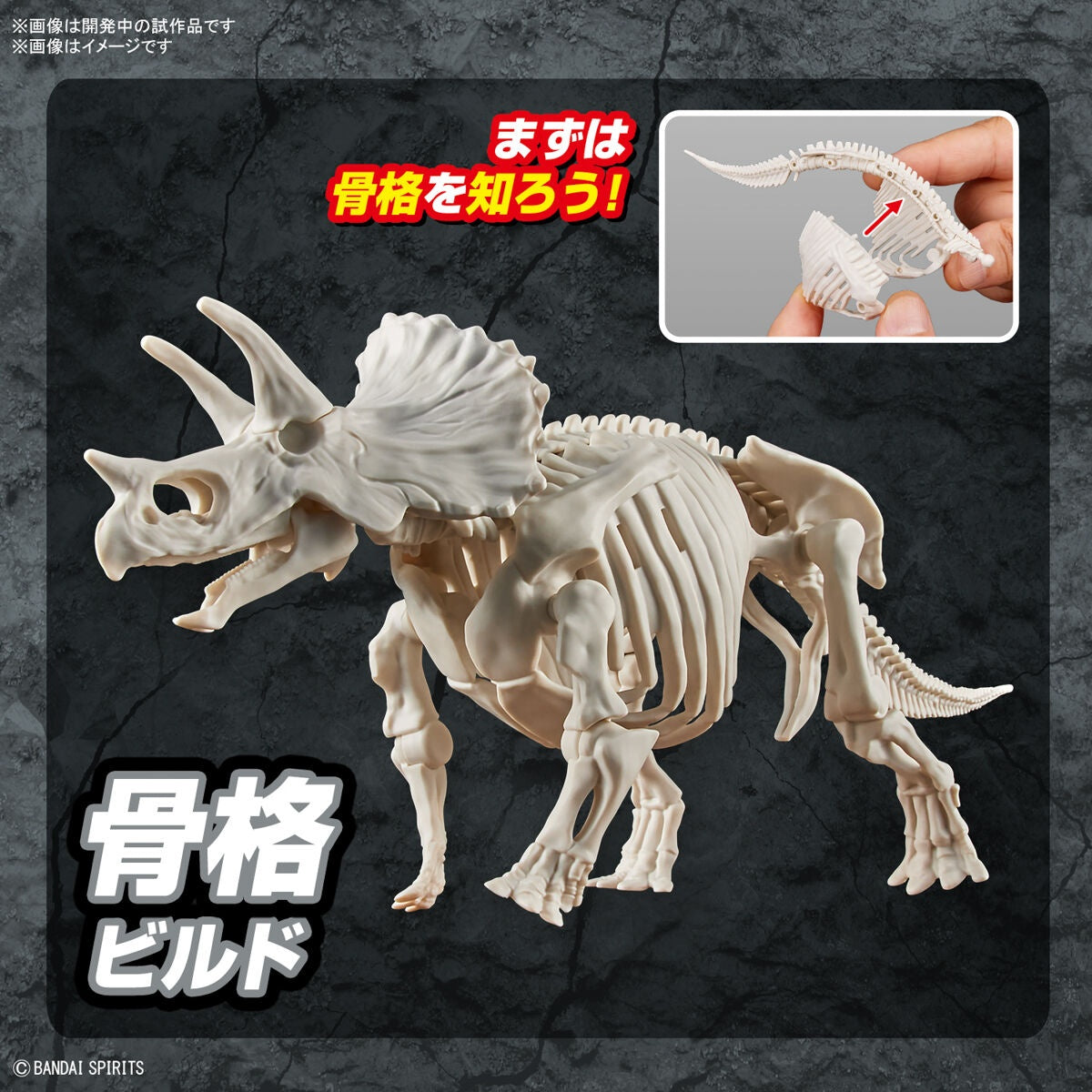 BANDAI – TRICERATOPO DINOSAURO MK
