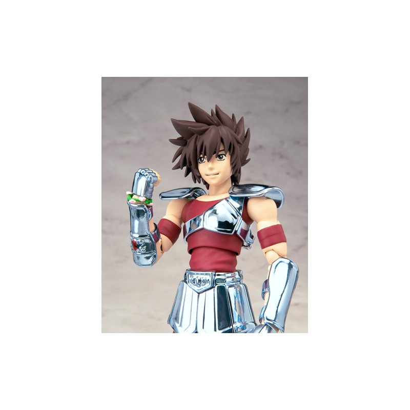 Lost Canvas Pegasus Tenma