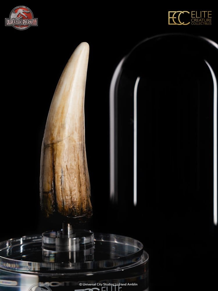 Jurassic Park III Prop Replica 1/1 Spinosaurus Tooth 14 cm