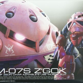 Gunpla 1/144 RG MSM-07S Z'GOK #16