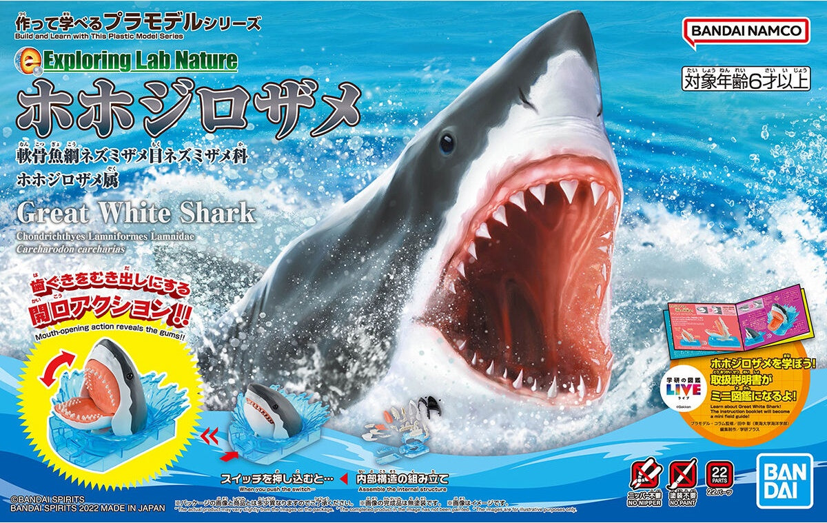 EXPLORING LAB NATURE GREAT WHITE SHARK