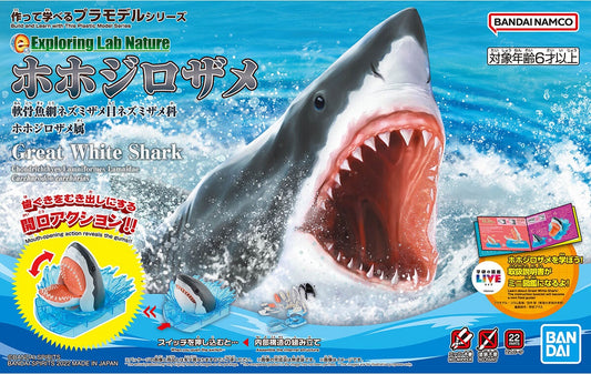 EXPLORER LA NATURE DU GRAND REQUIN BLANC