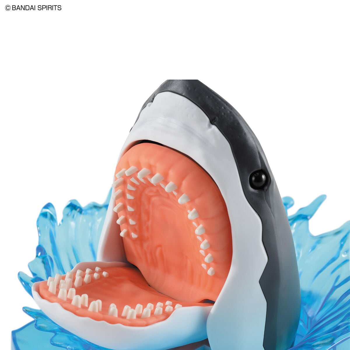EXPLORING LAB NATURE GREAT WHITE SHARK