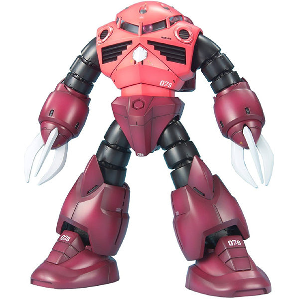 1/100 MG Msm-07 Z'Gok (Char'S Custom)