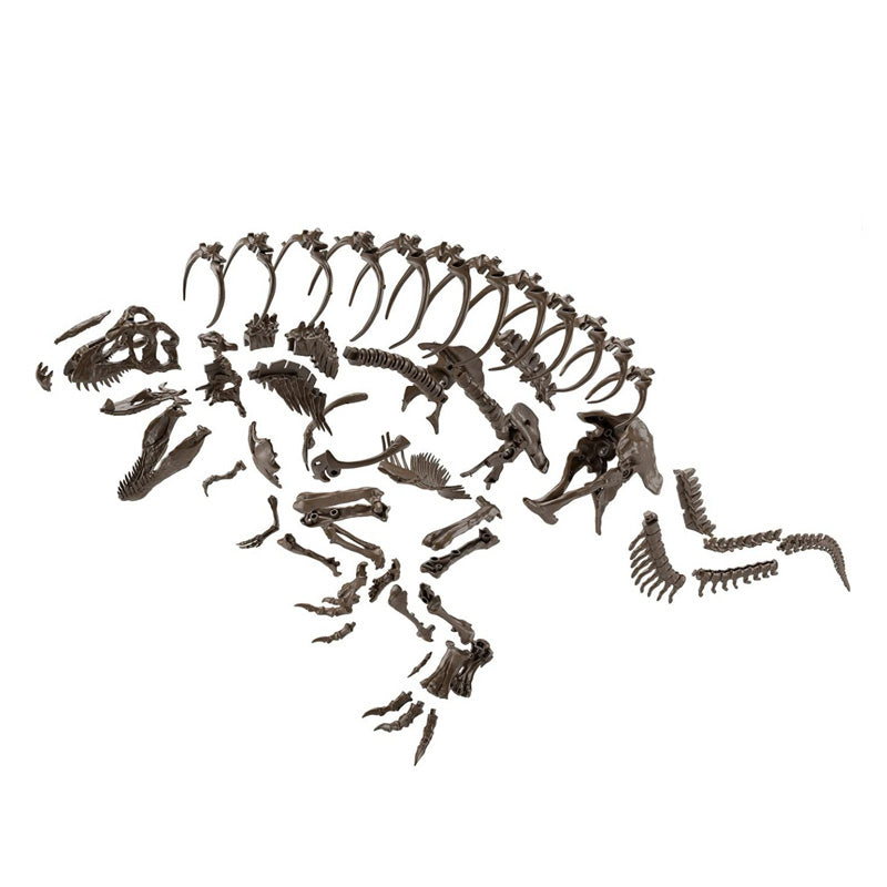 1/32 IMAGINARY SKELETON TYRANNOSAURUS