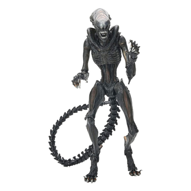 Alien: Romulus Ultimate Action Figure - Scorched Xenomorph 23cm