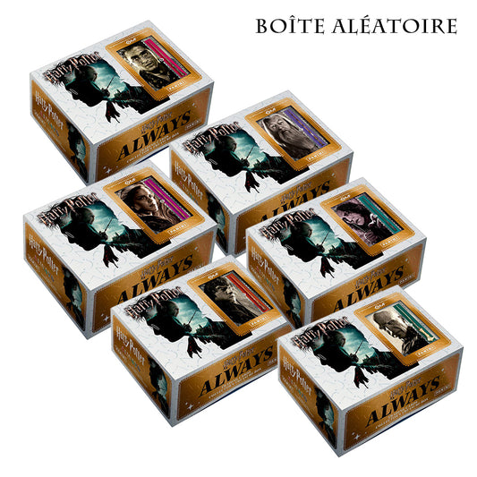 Harry Potter Always Trading Cards Premium Treasure Box