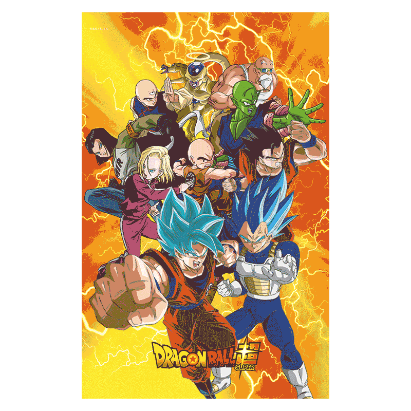 DBZ 3D Poster 40x60cm Dragon Ball Universe Survival Heroes