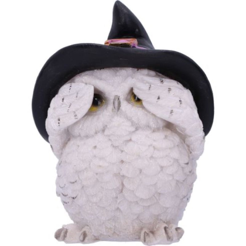 Three Wise Feathered Familiars 9Cm