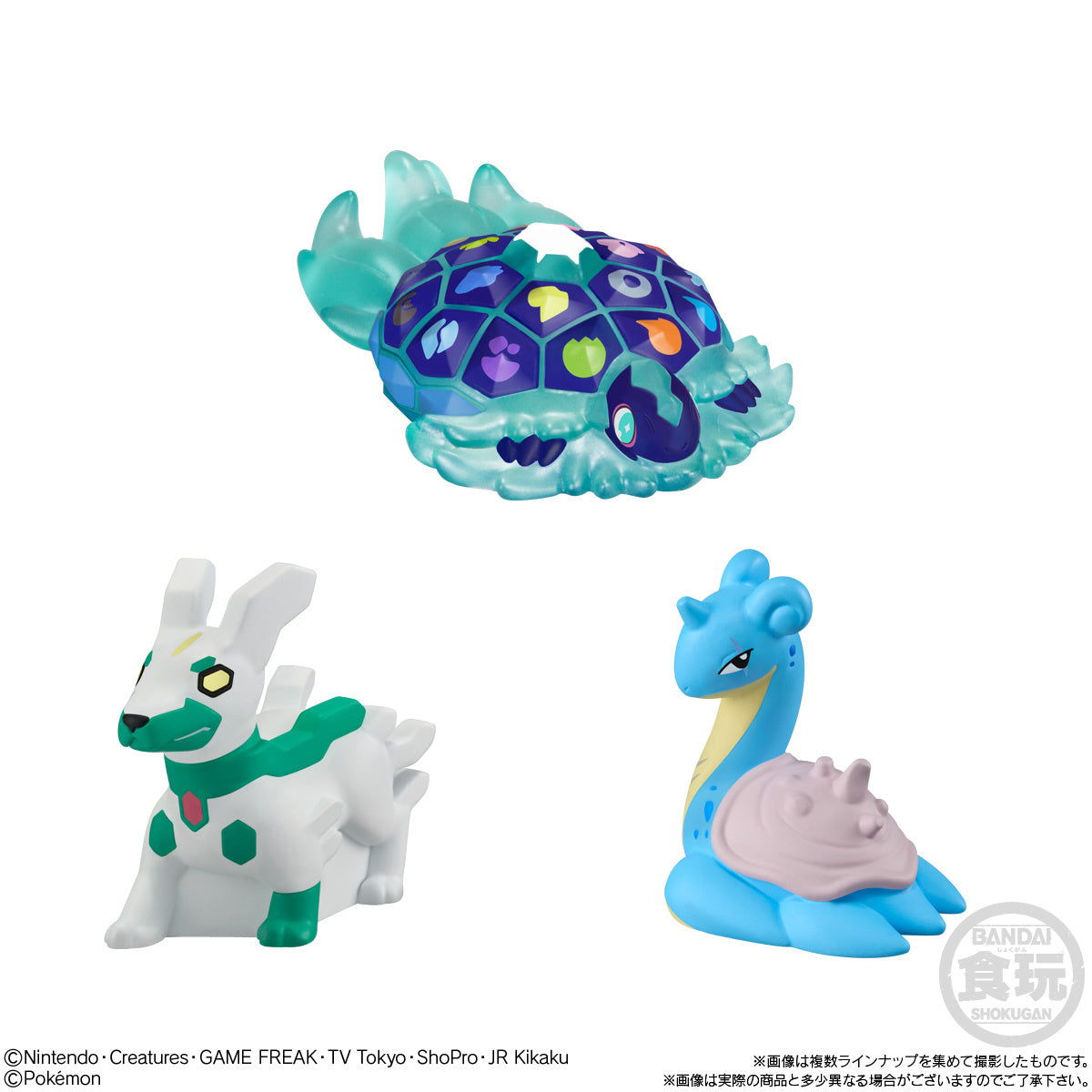 Pokemon Kids Terapagos Edition (1 random )