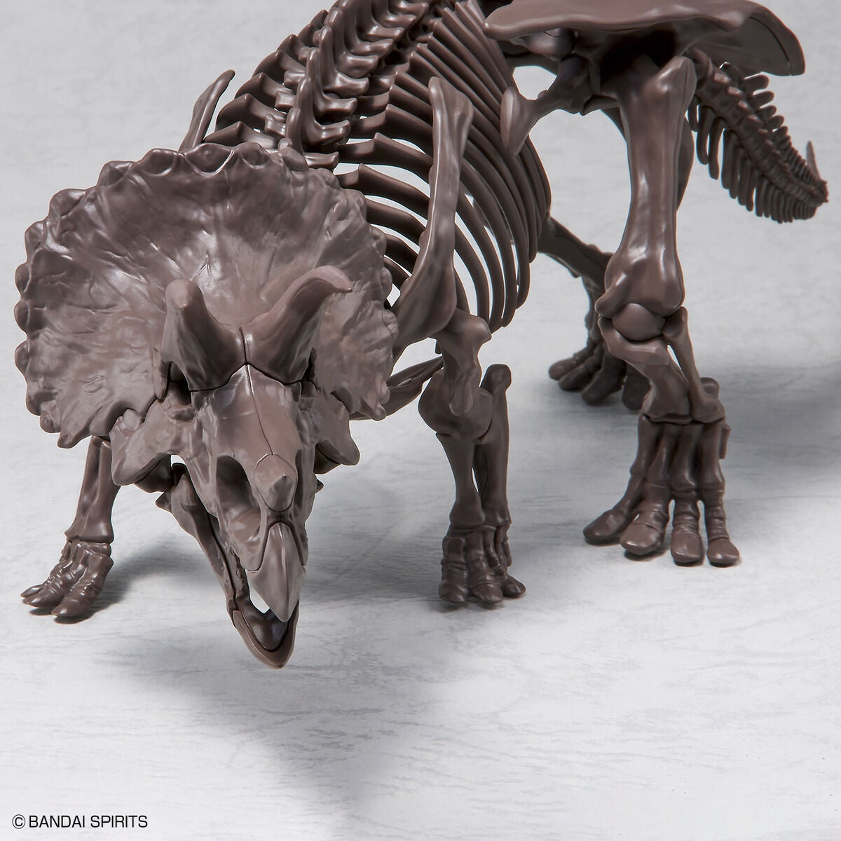 1/32 Imaginary Skeleton Triceratops