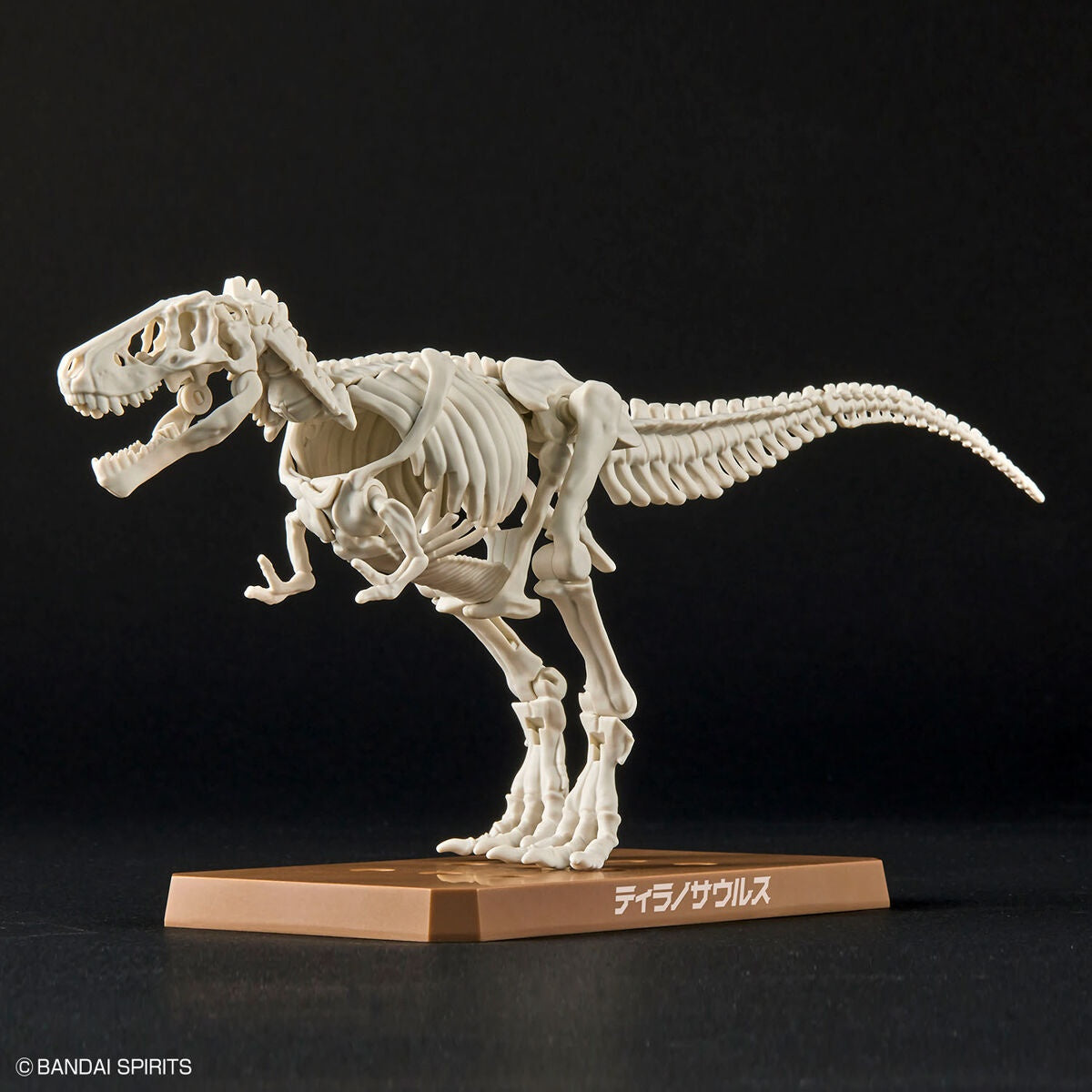 Plannosaurus Tirannosauro