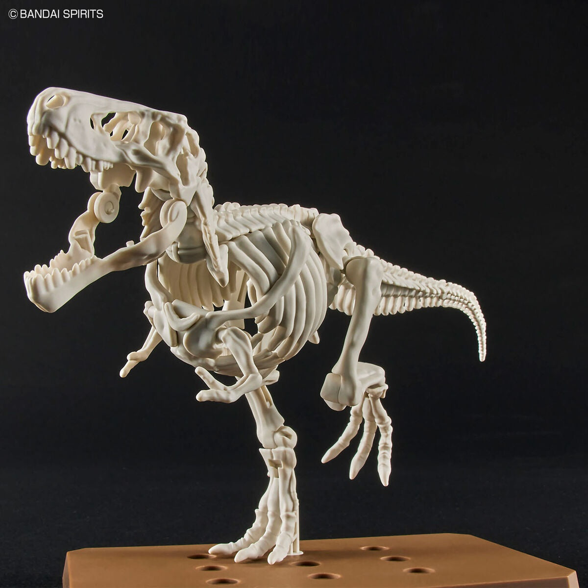 Plannosaurus Tirannosauro