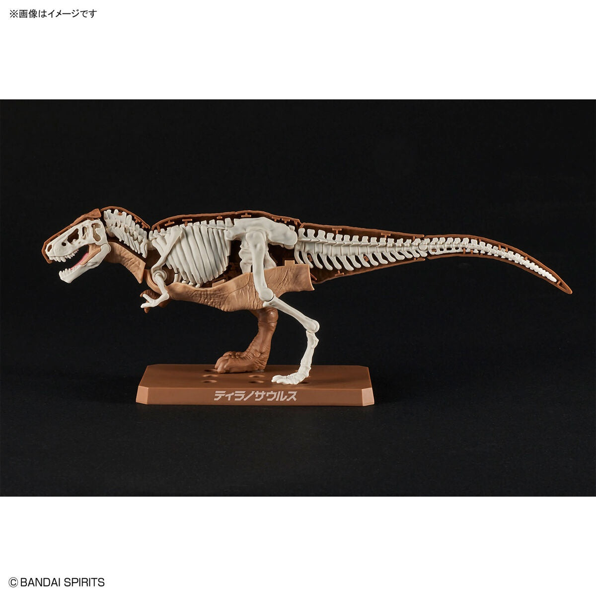 Plannosaurus Tirannosauro