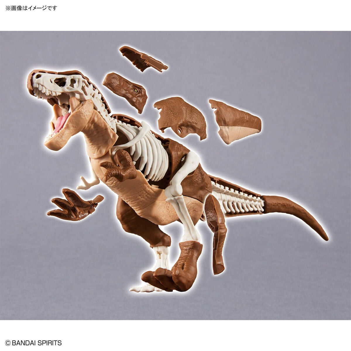 Plannosaurus Tirannosauro