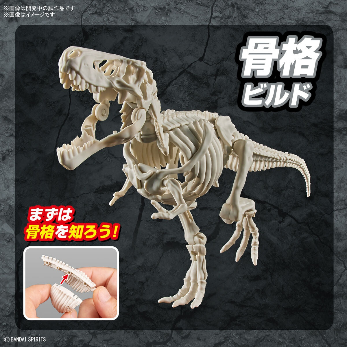 Plannosaurus Tirannosauro