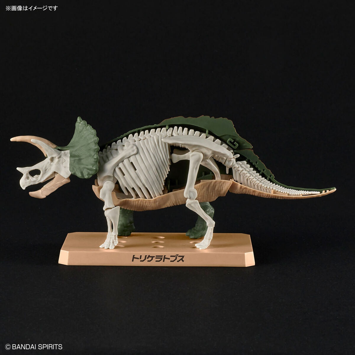 BANDAI – TRICERATOPO DINOSAURO MK