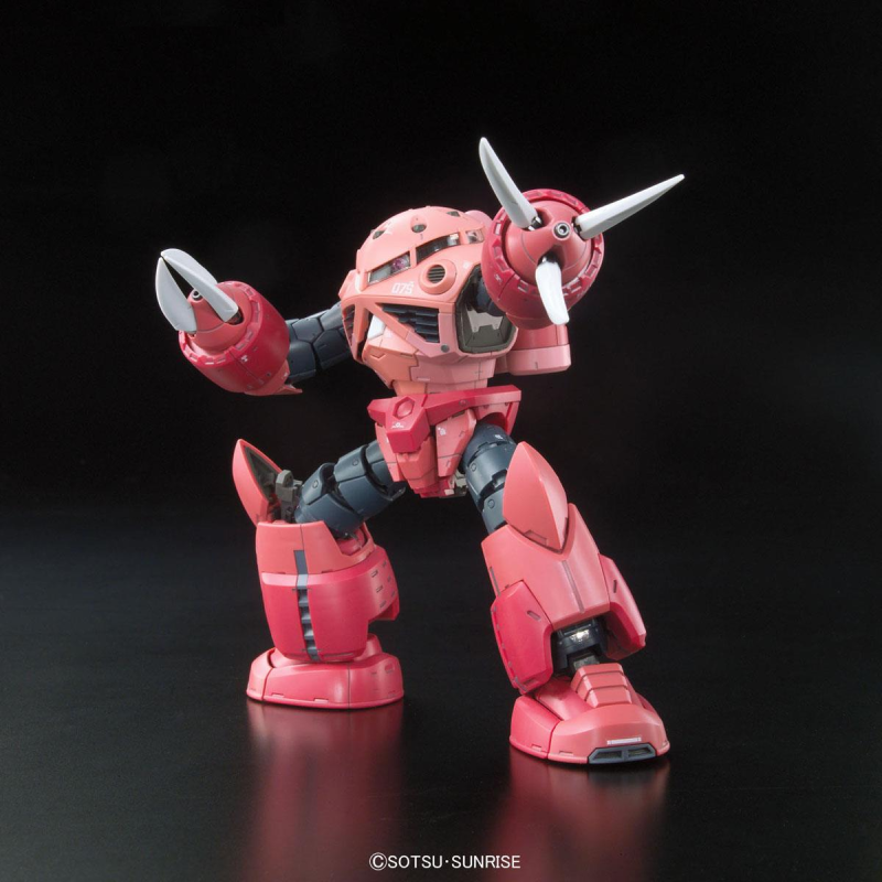 Gunpla 1/144 RG MSM-07S Z'GOK #16