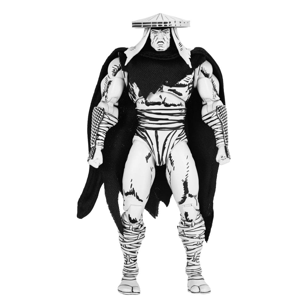 Teenage Mutant Ninja Turtles Action Figure Foot Assassin Black and White 18 cm