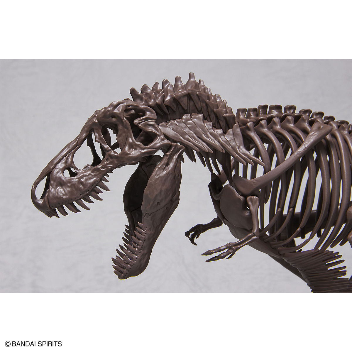 1/32 IMAGINARY SKELETON TYRANNOSAURUS