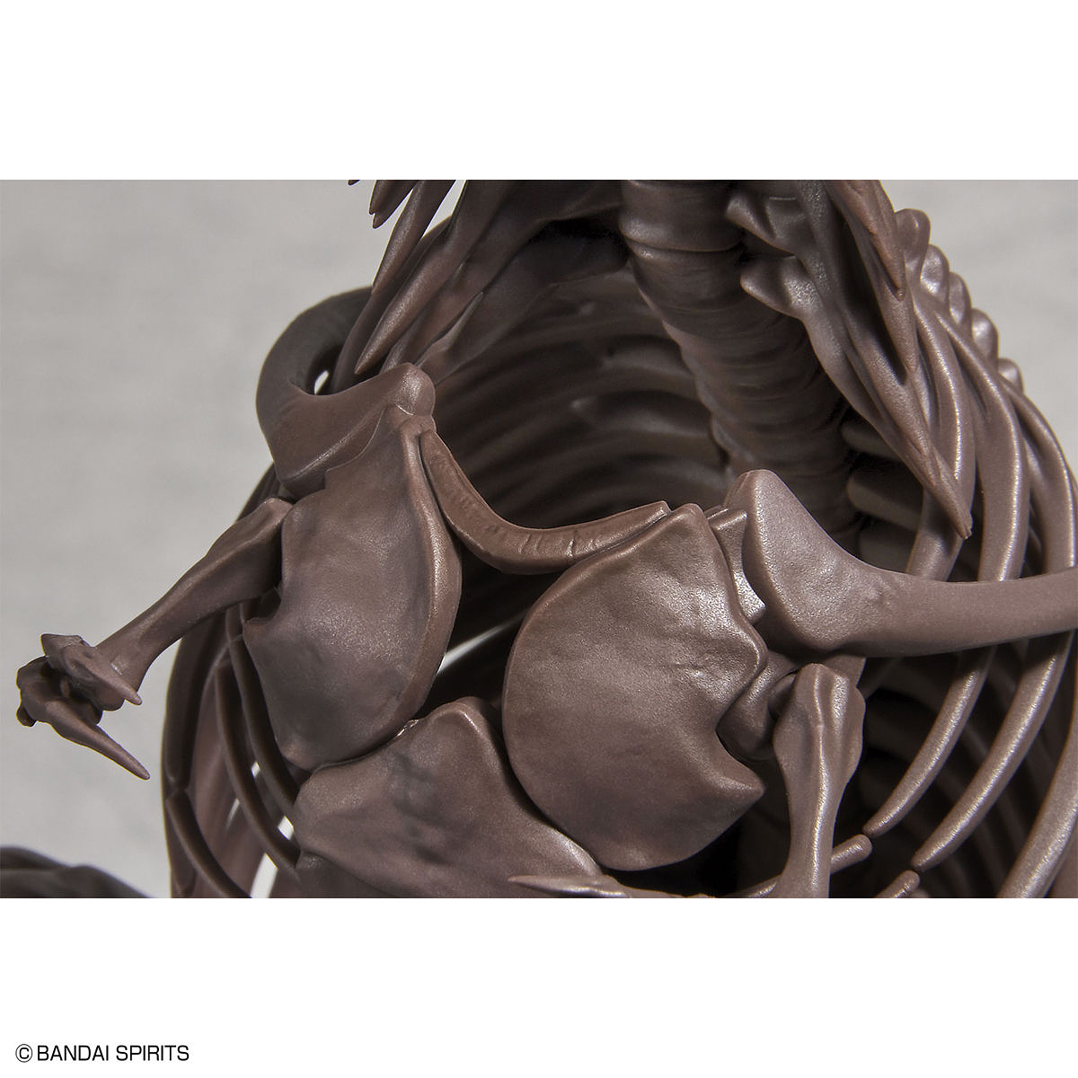 1/32 IMAGINARY SKELETON TYRANNOSAURUS