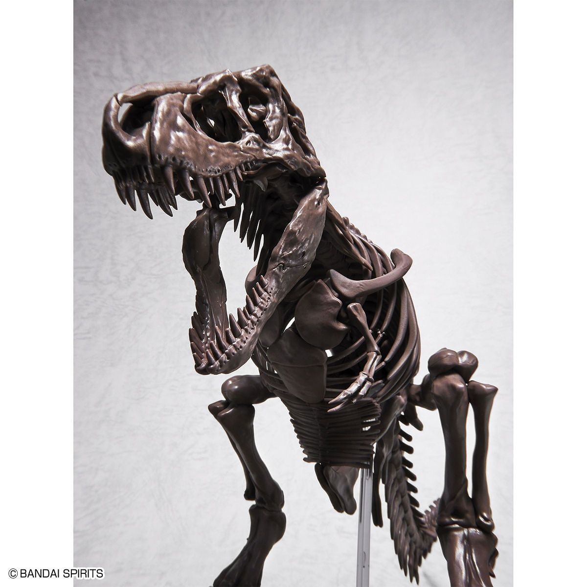 1/32 IMAGINARY SKELETON TYRANNOSAURUS