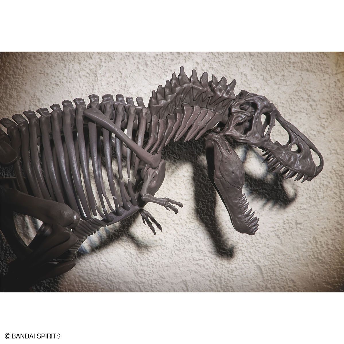 1/32 IMAGINARY SKELETON TYRANNOSAURUS
